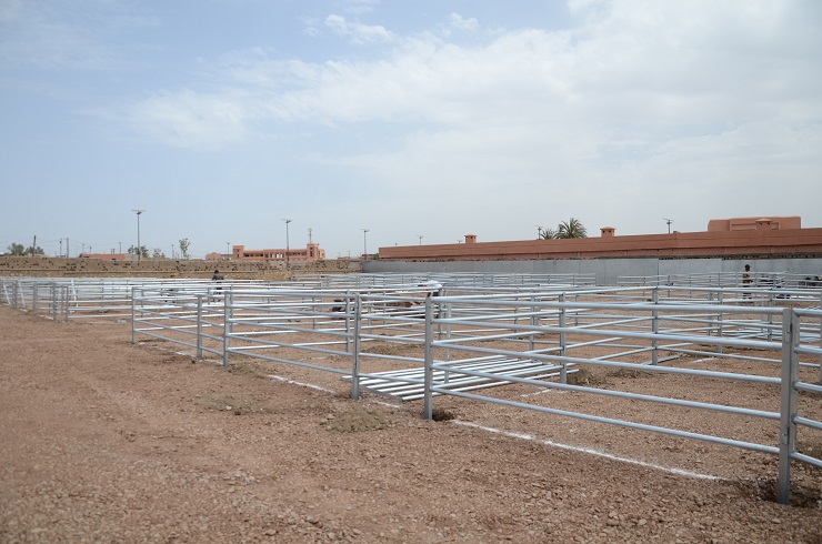 DSC 5529 - اخبار سطات