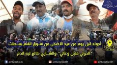 أجواء قبل يوم من عيد الأضحى من سوق الغنم بسطات..”الحولي قليل وغالي” والشاري طالع ليه الدم