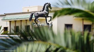 أخبار سطات تقدم قائمتها لأبرز شخصيات 2020 باقليم سطات.. وهل تجوز المفاضلة بين الأبطال!!..