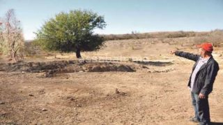 روبرطاج: رمان تماسين.. أكثر من 300 هكتار من بساتين الرمان في خبر كان بعد جفاف عيون المنطقة