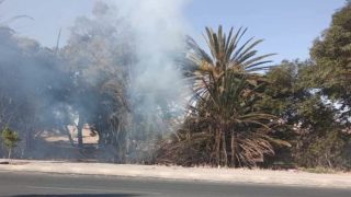 من المستفيـــد من حرائق غابــــة رأس البروج؟