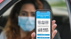عريضة “لا لجــواز التلقيح بدون نقاش وطني ” تسجل أرقاما قياسية ورقعة الرافضين للجواز تتسع …