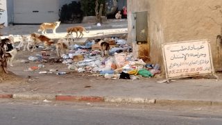 أزبال وروائح تثير حفيظة السكان المجاورون لإقامة الغزالي بسطات + صور