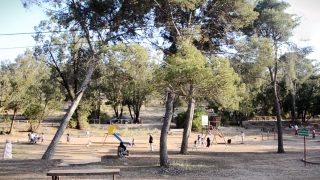 جماعة سطات توافق على “خوصصة” الغابة الحضرية لسطات