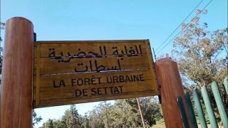 توضيح حول مقال “خوصصة غابة سطات”