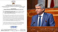 وزارة الفلاحة تخرج عن صمتها و توضح القرار المشترك الخاص بمنع ذبح الابقار الحلوب