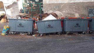 نقابة بشركة اوزون تقوم بدور مؤسسات الدولة