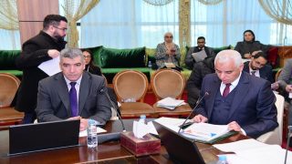 مرض الليشمانيا يصل إلى البرلمان