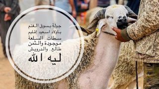 جولة بسوق الغنم باولاد اسعيد إقليم سطات.. السلعة موجودة والثمن طالع.. والدرويش ليه الله