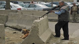 FILE - In this Nov. 23, 2008 file photo, Iraqi police officer Qassim Ahmed takes aim before shooting a stray dog in the Mansour neighborhood of Baghdad, Iraq. Baghdad officials say 58,000 stray dogs have been killed in and around the Iraqi capital over the past three months as part of a campaign to combat dog attacks. (AP Photo/Asaad Mouhsin, File)