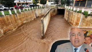 واد بوموسى، أو الثعلب الشارد، يزور سطات بعد ترويض من الوالي محمد عالي العظمي