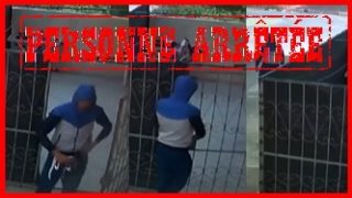 أمن سطات يوقف شابًا مشتبهًا في تورطه في عمليتي سرقة.