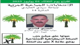 الحركـــة الديمقراطية الاجتماعية تفوز بمقعد الانتخابات الجماعية الجزئية بجماعة سيدي العايدي