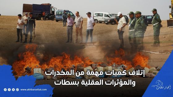 سطات.. إتلاف أزيد من 6 أطنان من الشيرا و6 قناطير من الكيف و10 آلاف قرص مهلوس