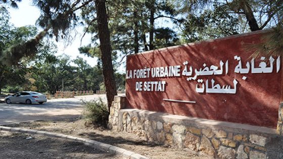 الغابة الحضرية بسطات.. من متنفس طبيعي إلى فضاء للفوضى والإزعاج