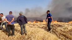 السيد وزير الفلاحة: هل تتذكر فاجعة حرائق سطات أم أخذتك الحملة؟